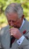 Prince+Charles+Camilla+Duchess+Cornwall+Prince+6VWM2tNAgW1l.jpg