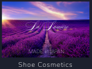 LL shoe cosmetics.png