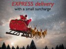 Express-Delivery.jpg