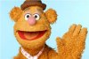 fozzie-bear.jpg